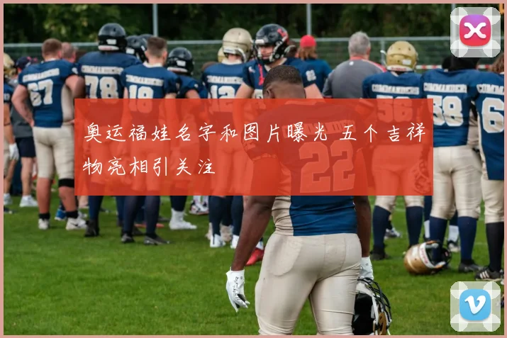 奥运福娃名字和图片曝光 五个吉祥物亮相引关注